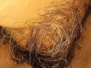 my wife's hairy pussy added to clitoris