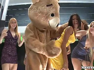 Blinking Bear baise Latina Kayla Carrera en fête de bachelorette chaude